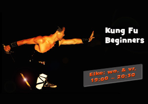 Kung Fu / Wushu